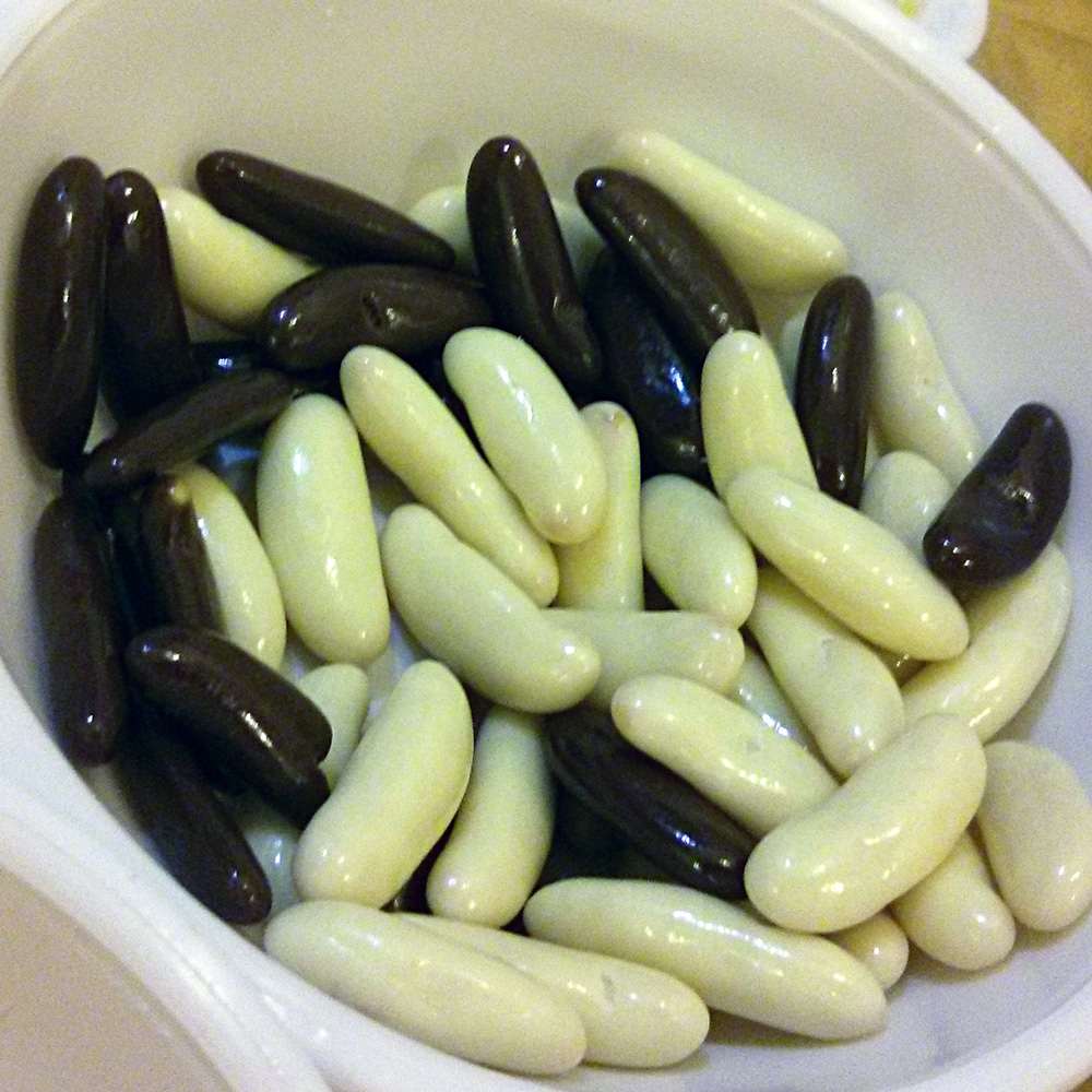 チョコ柿