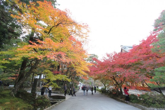 多くの人が紅葉を見ようと南禅寺を訪れていました。
