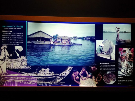 世界の淡水湖の展示もあります。これはカンボジアのトンレサップ湖の展示。