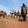 カンボジアで象に乗るならモンドルキリが最高