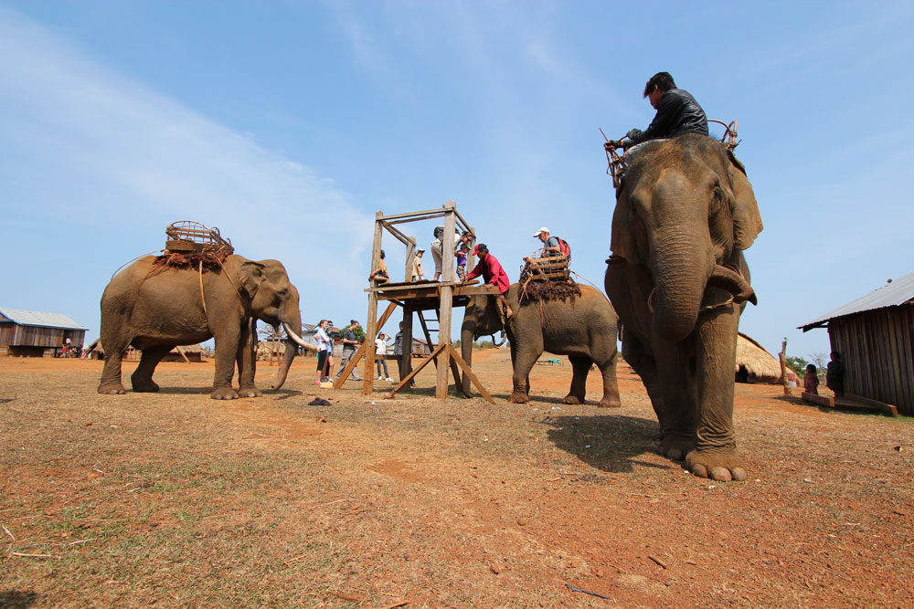 少数民族の村にある象乗り場