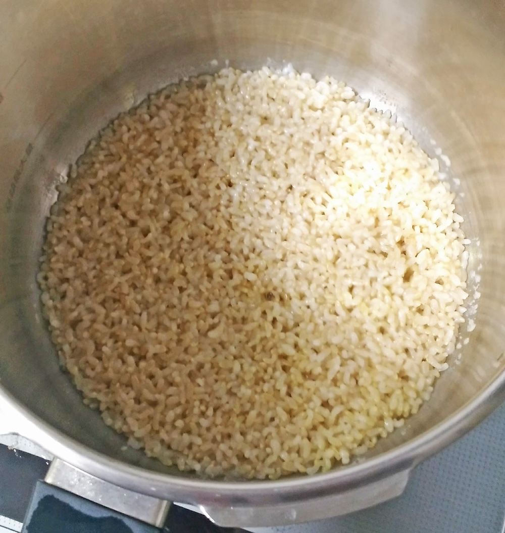 炊き上がった玄米