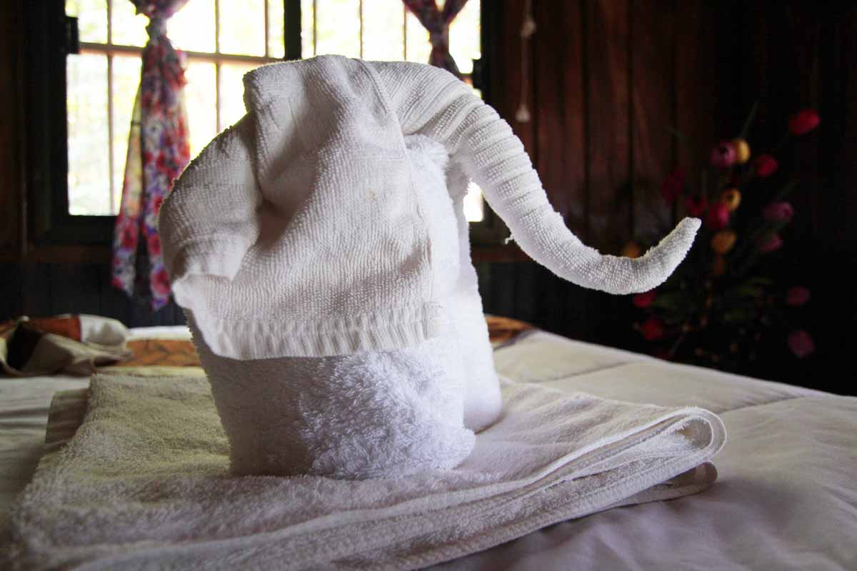 象に形のタオル