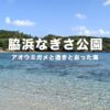 【小笠原・母島】脇浜なぎさ公園はアオウミガメと透きとおった海が楽しめる