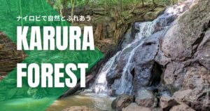 Karura forest