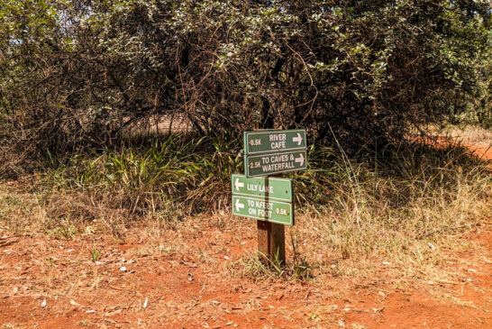 Karura forest 案内板