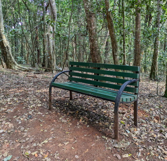 Karura forestに置かれているベンチ