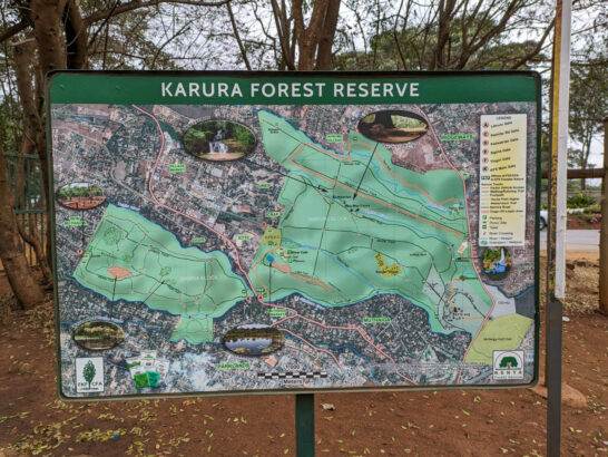 Karura forest地図