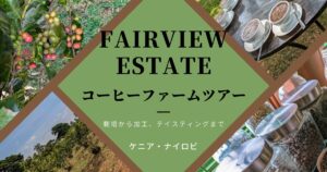 Fairview Estateコーヒーファームツアー